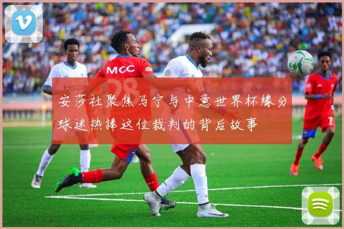 安莎社聚焦马宁与中意世界杯缘分球迷热捧这位裁判的背后故事
