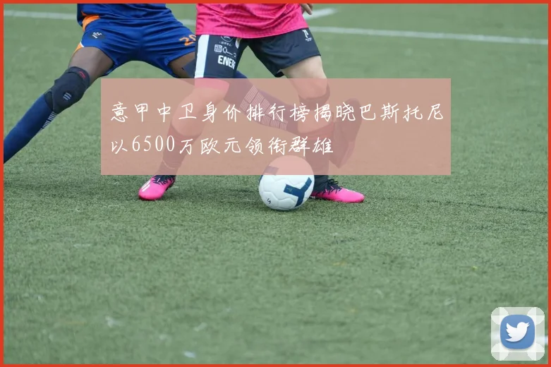 意甲中卫身价排行榜揭晓巴斯托尼以6500万欧元领衔群雄